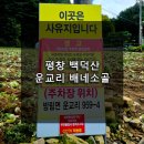 반계1리마을회관 | 공포스러웠던 평창 백덕산 운교리 마을회관 등산로(배네소골 코스)