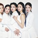 티알글로벌 이미지