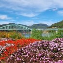 자라섬남도1(강변) 이미지