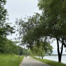 세이모커피(SAMO COFFEE) 이미지