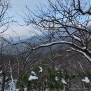 지리산휴게서(하) | 주간일기 | 잃고나서야 깨닫는것들ㅣ심한감기 후 후각상실,돌아와 외장하드,명절 끝