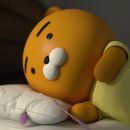 라이언 - 김천시 문화5길 18 | 라이언