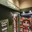 피씨카페티 | 산본 만화카페 캣툰 실내 놀거리 추천