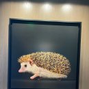 (주)알토스 조선일보