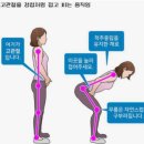 제주시제주보건소 치매안심센터 | 임산부 필라테스 보건소 무료강의 후기, 직접 다녀온 솔직 후기