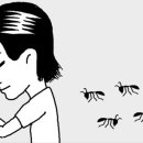 개미약국 이미지