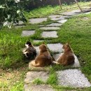 정들고펜션2 | 김가네 여름휴가(거제) DAY 1