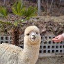 진주다방 이미지