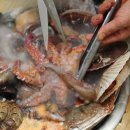 삼천포해물탕 네이버블로그