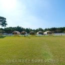 애견 파라독스 펜션 네이버블로그