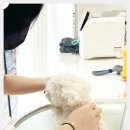 강남유치원 이미지