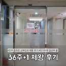 참조은생포크 | 진주 참조은산부인과 36주 제왕수술 후기