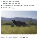 실시간 드라마 ＜연인＞ 1부 엔딩 보고 ㅈㄴ 화난 시청자들.twt 이미지