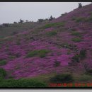 청학사거리(한전) 이미지