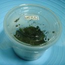 엔트리헤어 이미지