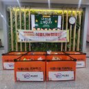 은천병설유치원 이미지