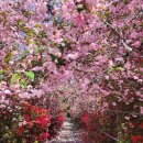 스테이 지천 | 봄나들이