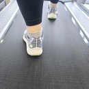 호텔리브레(주식회사신진) | 아침 운동 솔직한 후기 변화 : 운정헬스장 짐원휘트니스 가람마을