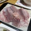 춘천 민물회 맛집 프라이빗 룸식당 &#34;송향&#34; (향어 송어) / 현지인추천