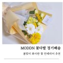 오아시스_정기배송 | 꽃다발 정기배송 추천 MODDN 생화 꽃배달 솔직후기