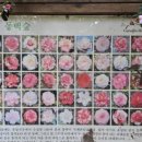 카멜리아한의원 이미지