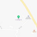 더스테이 골드독 이미지