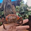 달성습지 생태 학습관 이미지