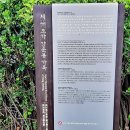 삼양동초가 이미지