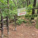 바다향기수목원(도서식물원) 이미지