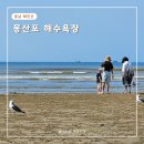 태안 몽산포 해수욕장 해루질 물놀이