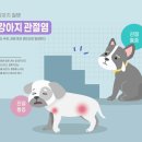 동서울동물병원 이미지