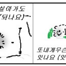 카페포제