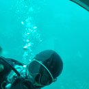 2022년 8월 19일 제주도-서귀포 잠수함 수심 20미터, 스쿠버다이버님 이미지
