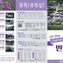 퍼플여행 이미지