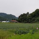 강림면복지회관 이미지