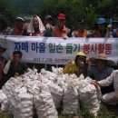 한국전력공사 거창지사 이미지