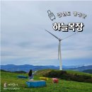 월정 | 대관령 가볼만한곳 대관령 양떼목장 하늘목장 소요 시간 트랙터