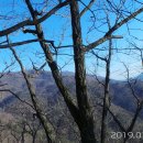 송내경로당 Daum카페