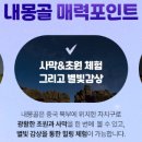 별빛여행사