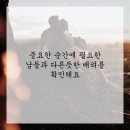 댕댕이미용실 이미지