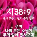 주님앞에제일교회 네이버블로그