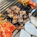 [안산 상록구] 한돈 생고기를 눈앞에서 잘라주는 상록수역 고기 맛집 &#34;불타는연탄구이&#34; 후기