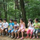 소리의 숲 이미지