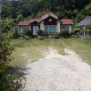 사과나무부동산중개사무소 이미지