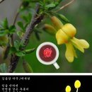 김종삼약국 티스토리