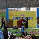 천북면사무소 Daum카페