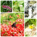 터널산장 이미지