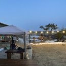 메르샤토 이미지