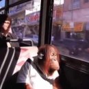 크라운호프 부천도당점 | 불금에 혼술 했는데 안주가 개맛있어서 행복했던 썰 푼다.