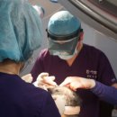 드림헤어라인의원 이미지